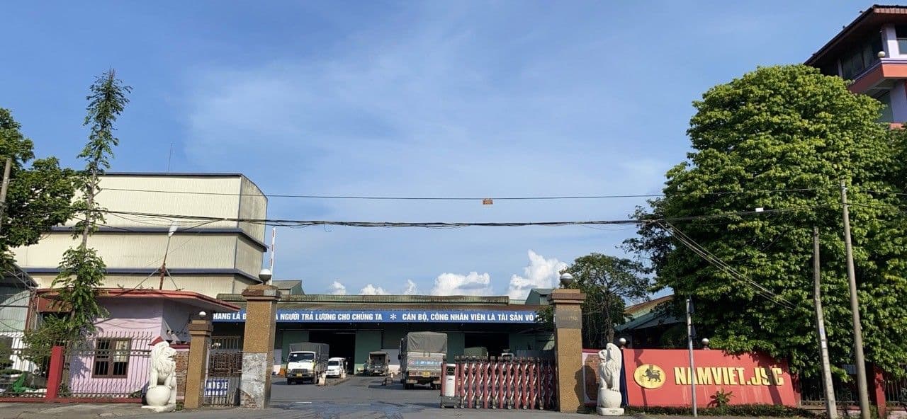 Thức ăn chăn nuôi Nam Việt – Đa dạng sản phẩm vì lợi ích phát triển ngành chăn nuôi Việt nam - Nam Viet JSC