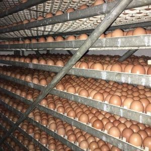 Chất lượng sản phẩm, hiệu quả kinh doanh của đối tác luôn được Nam Việt đặt lên hàng đầu.